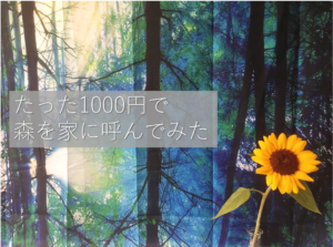 【森林浴の効果は？】たった1000円の雑貨で森を室内に呼んでみた。
