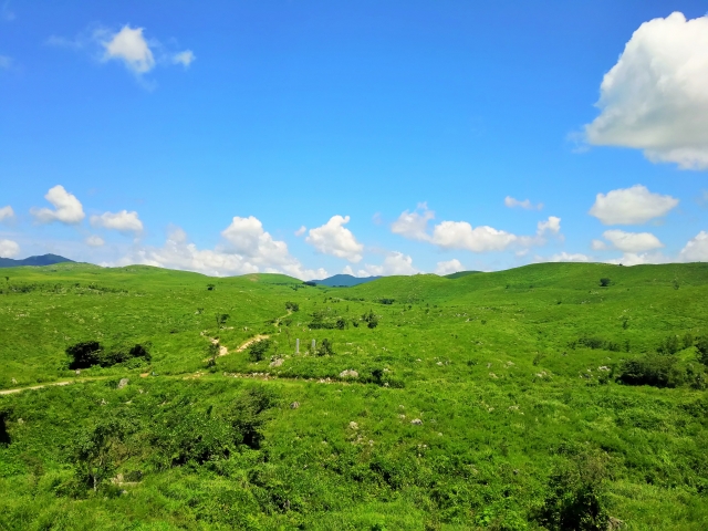 山口県　観光名所