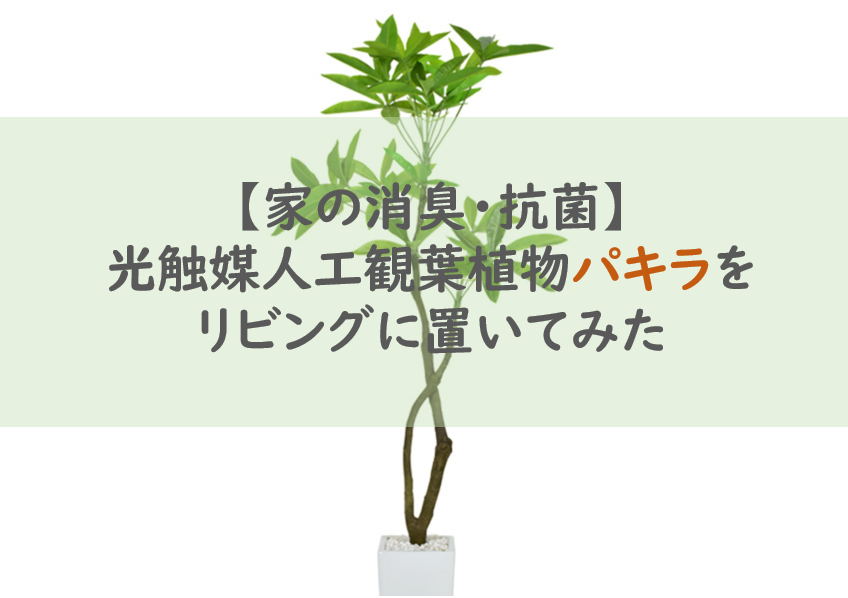 家の消臭 抗菌 光触媒人工観葉植物パキラをリビングに置いてみた Enjoybeautystrong