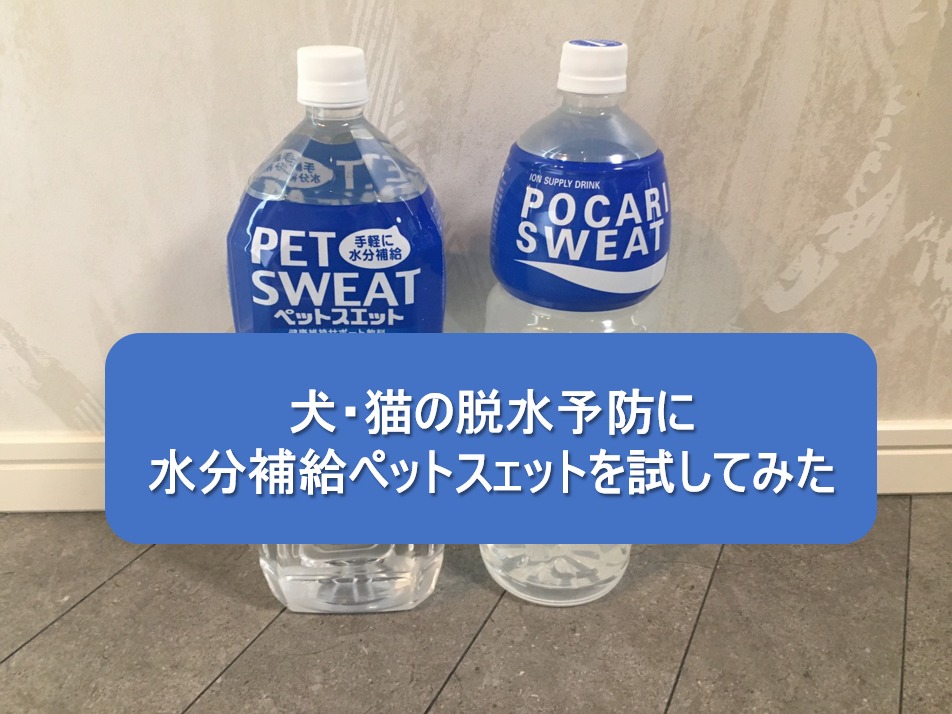 【購入レビュー】犬・猫の脱水予防に水分補給ペットスェットを試してみた